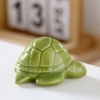 Turtle seaweed green
