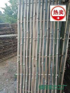 ��ذŹ��@���B����ë�񹤳̴򘶼ܖř��o������ʩ���������Ƭ��