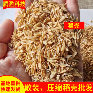 �F؛���l ���r�Ƀ�ɢ�b���� �Bֳ�|��ᄾ�ԭ�ϳ��m�������s���ך�