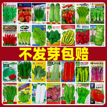 ߲˷NӲ˷NѴȫr˷Nļ߮͟a}N