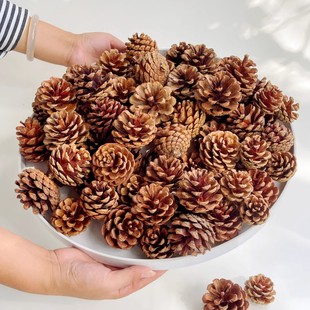 ��Ȼ���ɹ�100����ϳߴ����С�׃��@�ֹ�diy�b��ɹ����}�Q�ɹ�