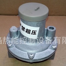 �����GDS20R04-0ȼ�ⷀ���y˼��/ʩ��sinon