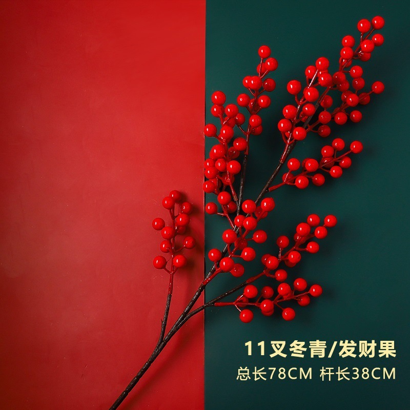 11 acebo/fruta de la fortuna 1