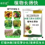 壮苗快速植物生长剂