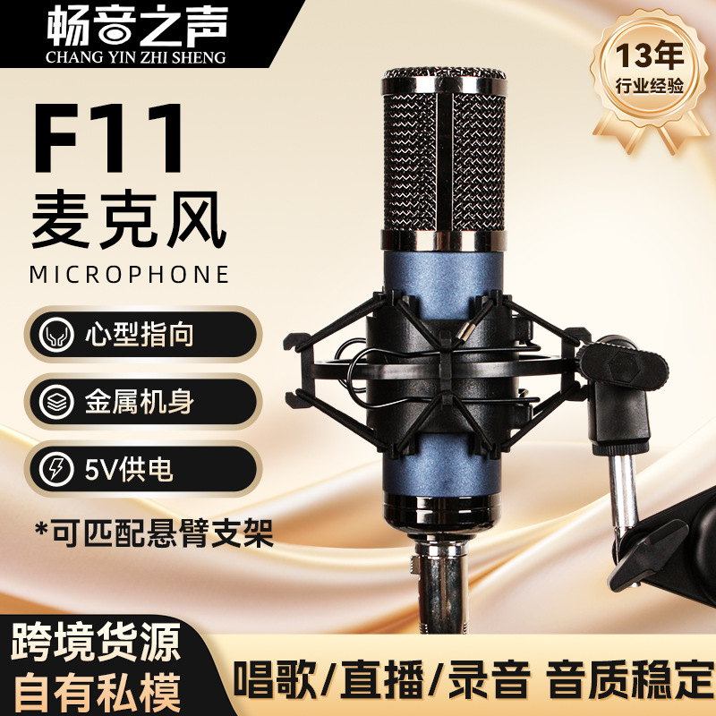 F11 Metal Body Condenser Microphone Internet Celebrity Live Singing Recording Dubbing Microphone Factory Direct Supply Wholesale