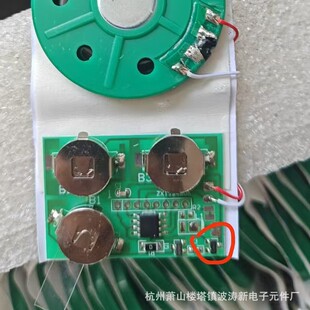 botaoe����IC�S��С����СС�����}�Q���������z�������T�IC