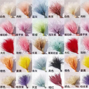 ����ë�ݡ����С���������z������l�� �ɻ�������ë��