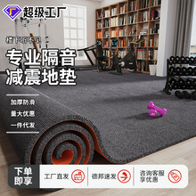 健身房地垫隔音减震运动防震加厚吸音家用大面积全铺吸音防滑地毯