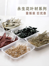 蔓玥手作 DIY圣诞风永生花叶材盒装香薰装饰花环材料尤加利树枝