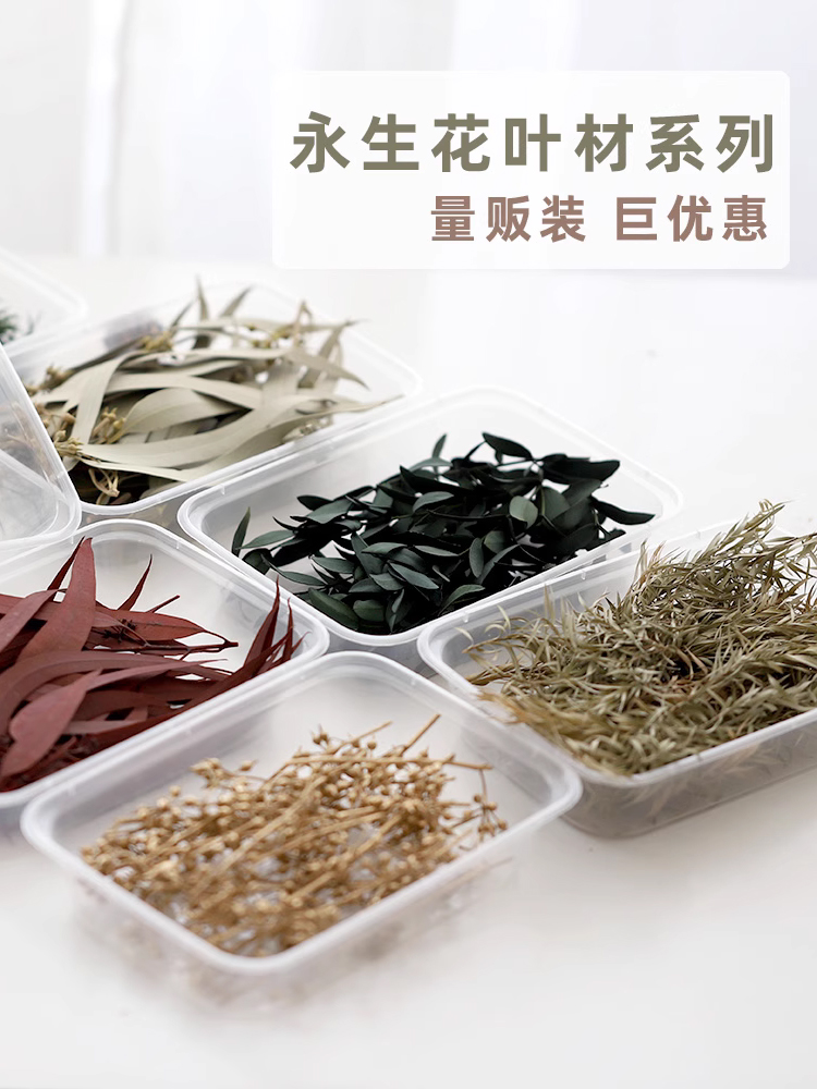 蔓玥手作 DIY圣诞风永生花叶材盒装香薰装饰花环材料尤加利树枝