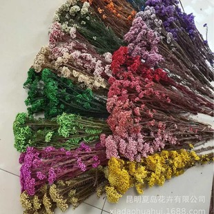 ��������ɫ�׻��� ������ ����  С�׻� ������������l