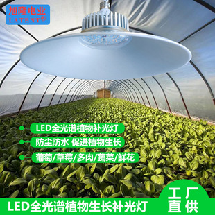 ȫ���VLEDֲ�����L�a�������Nֲ���V�҃Ȼ���