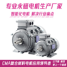 浙江智源220/380V高效永磁同步电机生产厂家YE5 B3 B5 B35 B14