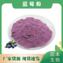 蓝莓粉 蓝莓果汁粉 水溶蓝莓提取物 固体饮料厂家现货1KG包邮