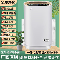 Air purifier household wholesale smoke removal dust removal aldehyde mahjong hall chess and card room office conference sales gifts cross-border