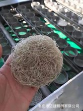 �t���ۗl�۽z�D���C�S��늼ӟ�عϷ��¼��۵ęC���f������Ƥ�C