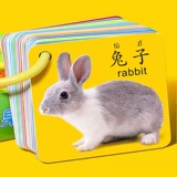 Вариант: Раннее развитие: люди
