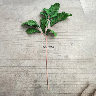 �����ȸ�~����~�����~�b�Y����T̨���ò�·������