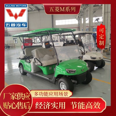 Wuling T Series Electric Golf Cart Tourist Resort Vigor Green Close to Nature Freedom