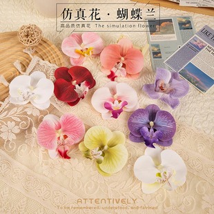 ��������m���^�l�A�^�����������ϰ�diy����zƬ�b����ֶY