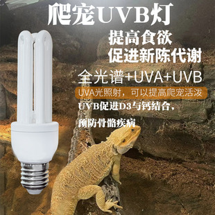 �����p����������a�}��UVB�������x���⾀���ܕ񱳹���ɳĮ����