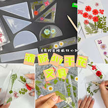 ����DIY�ľ߳������������ǰ���zģ���ֹ����z�ɻ�ֲ���ľ�ģ��