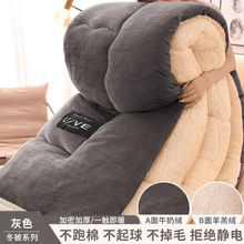 羊羔绒被子加厚保暖冬被学生棉被雪花绒冬季被褥太空被牛奶绒被芯