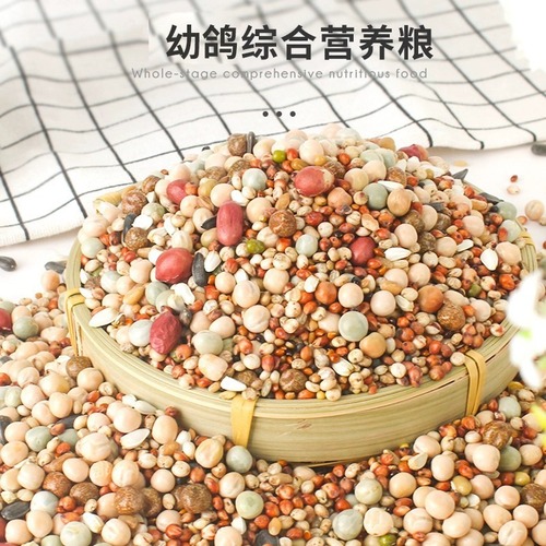 Weibi pigeon food pigeon food pigeon food corn-free nutrition racing pigeon food young pigeon homing pigeon ornamental pigeon feed bird food