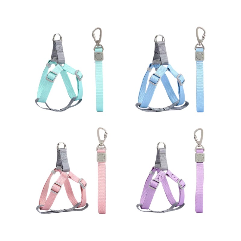 Suministros para mascotas Amazon nuevo macaron nylon perro Correa traje ajustable pecho y espalda Correa