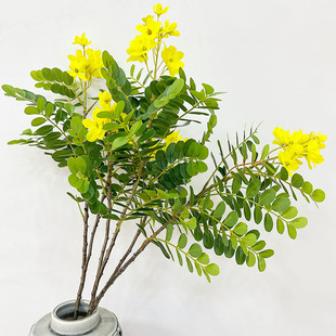 ���滱���~����ߙn�^�z����٘�֦�ָЈ@���쾰�b�䎧���~��