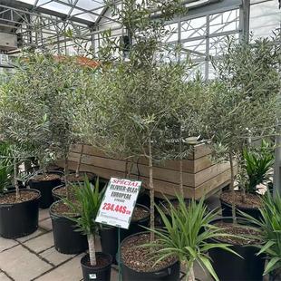 �M�����ϙ�������������^�~ֲ����Ϳ͏d���ȏd�W�t�Gֲ�ļ�����