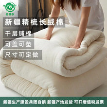 厂家批发新疆棉花被子a类棉被芯 冬季一等品千层母婴加厚纯棉棉被