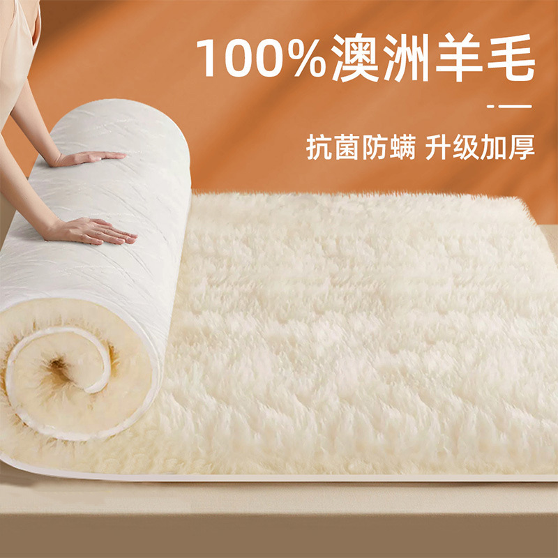 Wool Mattress Cushion Home Bedroom Winter Lamb Velvet Blanket Single Winter Thickeneded Warm Pad Quilt Mattress