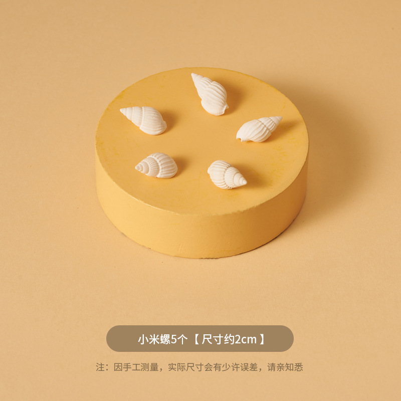 Ins Summer Micro Scenery Beach Accesorios fotográficos Cosméticos Bodegón Fotografía de pose Shell Arenas movedizas Tela de fondo marino