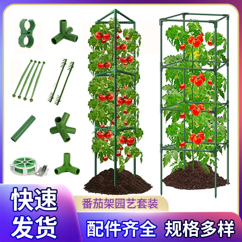 跨境番茄爬藤架植物支撑架包塑钢管园艺支架爬藤架杆植物攀爬架