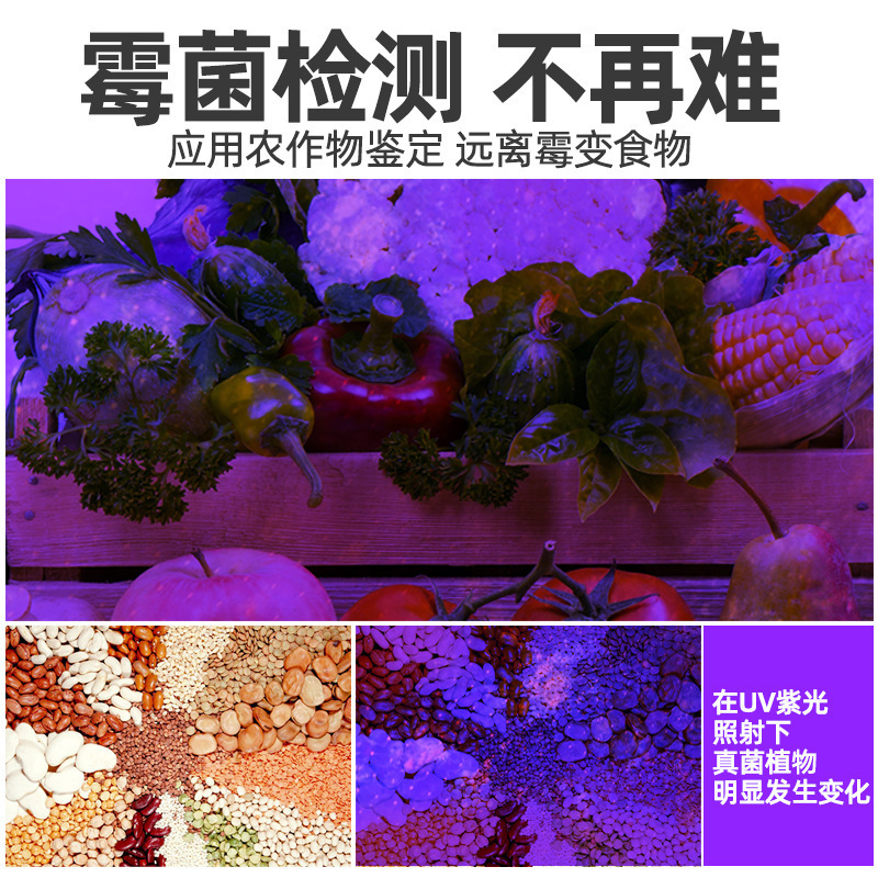 UV パープルライト懐中電灯紙幣検出ペン 365nm 紫外線識別ランプ野菜ブルーバナジウムボルドー液体検出蛍光|undefined