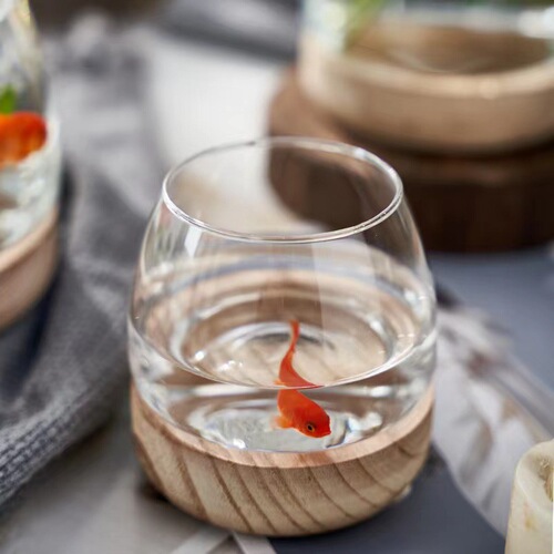 Simple green radish copper money grass desktop ecological fish tank living room flower arrangement ornaments hydroponic vase transparent glass