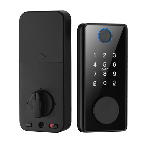 Cross-border European and American North American graffiti Tuya universal ttlock closed door wooden door smart fingerprint and password door lock