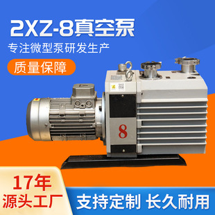 ������2XZ-8��ձ�.�Ϻ���ձ�.��Ƭʽ��ձ����󃞻�