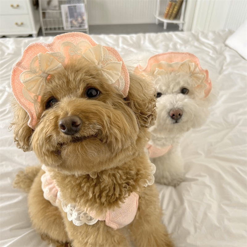 2025年秋冬ペット小中型犬猫服2点セット 小香風+帽子|undefined