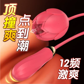 震动棒;情趣跳蛋;后庭用品