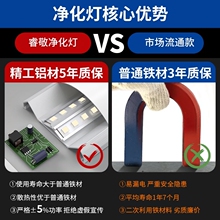 ?led�L�l����������������һ�w���չ���ܳ�����픗l�ξ��l��