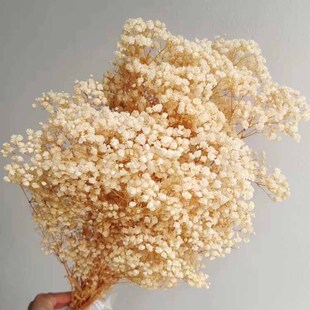 A�������M������ϻ������������˹��M���ǼҾ��b��r��