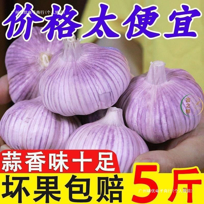 Шаньдун Цзиньсян фиолетовый чеснок сушеный чеснок 2.5kg оптовая продажа 2025 свежие семена чеснока 5kg фермерские семена чеснока 1.5kg