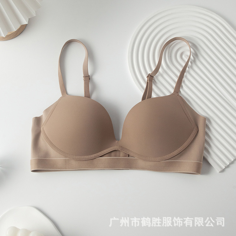 Venta directa de fábrica comercio electrónico transfronterizo Sudeste de Asia Vietnam Tailandia damas sin costuras sin anillo de acero recogido sujetador lateral