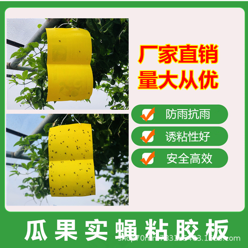 ca909d35cc546da1f723d20b4e2_&a