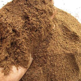 ������ɻ������ЙC�ʰl���B����~��C�D�����l�����