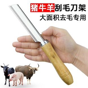 ���i��ţë�Ӵ�̖������ë�������i���i�^Ƥȥë���߽鵶������Ƭ