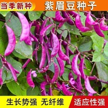 üNӸ߮a춹ǼtϱⶹN÷N߲˷NӴȫ