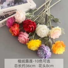 ���滨 ��ֲ֧�q¶ɏ��ĵ���Ҿ��b�Y�ò��ÿ羳���Q�S�����l